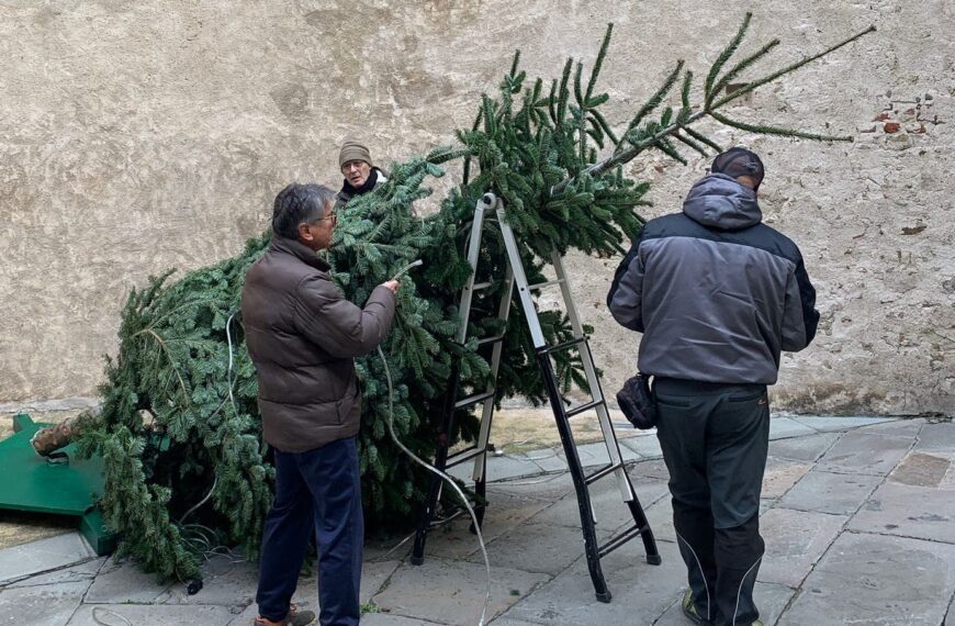 AVIS: domani alle 17 accensione dell’albero della solidarietà