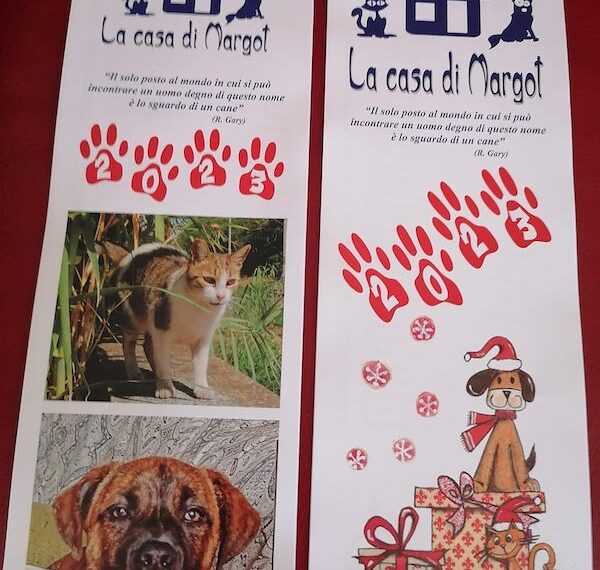 Calendari de La Casa di Margot: prosegue la distribuzione, un piccolo aiuto per i “pelosi”più sfortunati