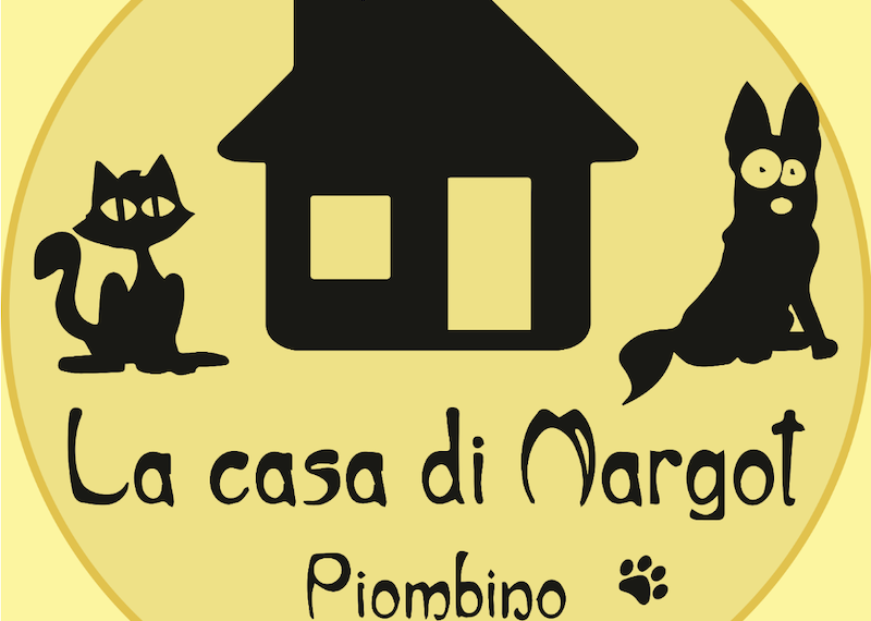 Avvistamento di un lupo: Mariacristina Biagini de La Casa di Margot “ci dice la sua”