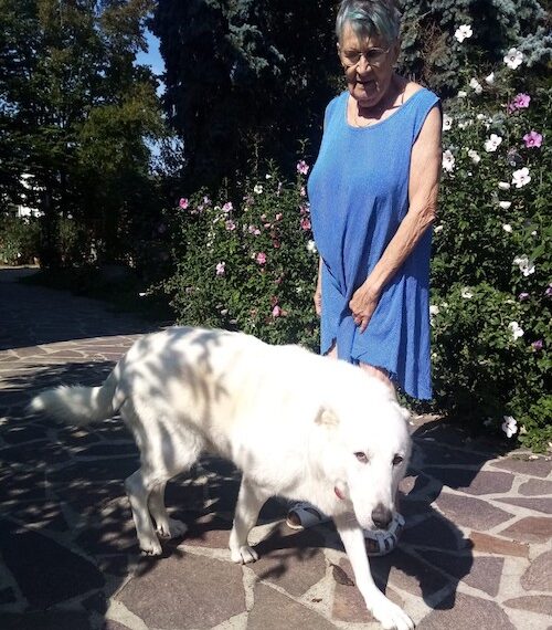 ENPA Ovada: il cane Francesco ha trovato una famiglia
