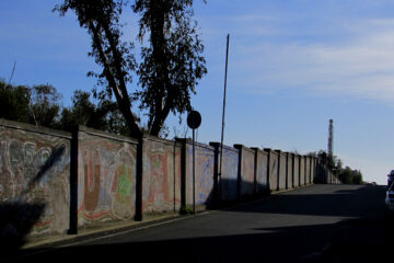 Murale Cotone-Poggetto