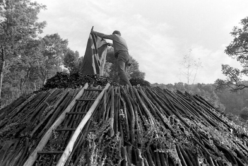 Il tempo dei carbonai: le fotografie di Pistolesi in mostra a Montecatini Val di Cecina