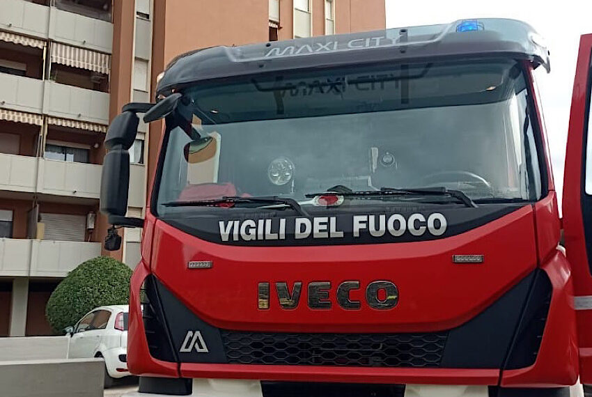 Recuperato cucciolo di segugio