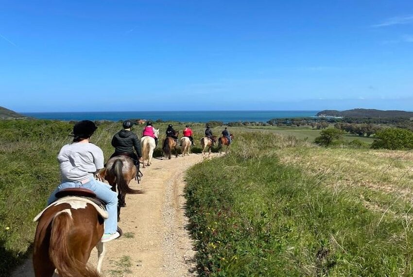 Passeggiate a cavallo nel parco di Baratti - Populonia - Pennainmovimento