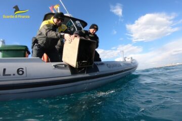 Sequestro ricci di mare - Pennainmovimento