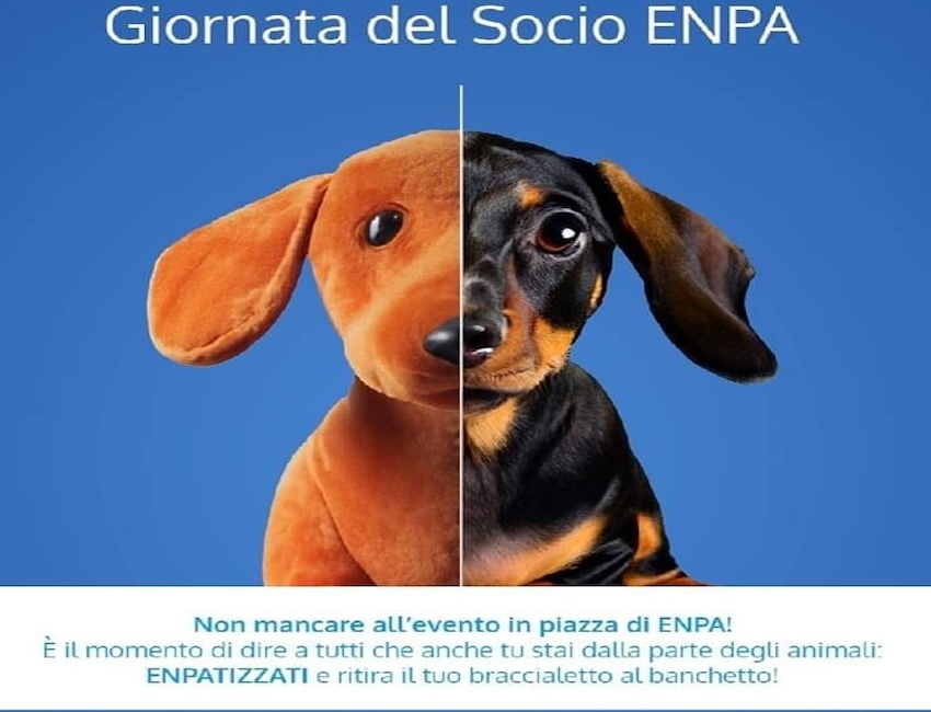 Enpa tesseramento 2024 - Pennainmovimento