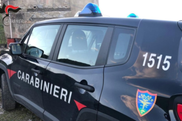 Carabinieri forestali - Pennainmovimento