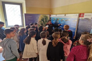Progetto "Un mare di amici" - Pennainmovimento