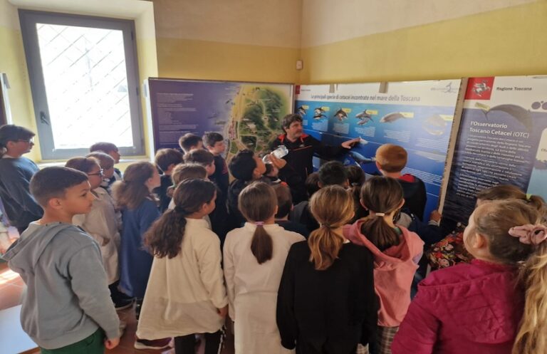 San Vincenzo, educazione alla Salute: oltre 50 alunni per il progetto ...