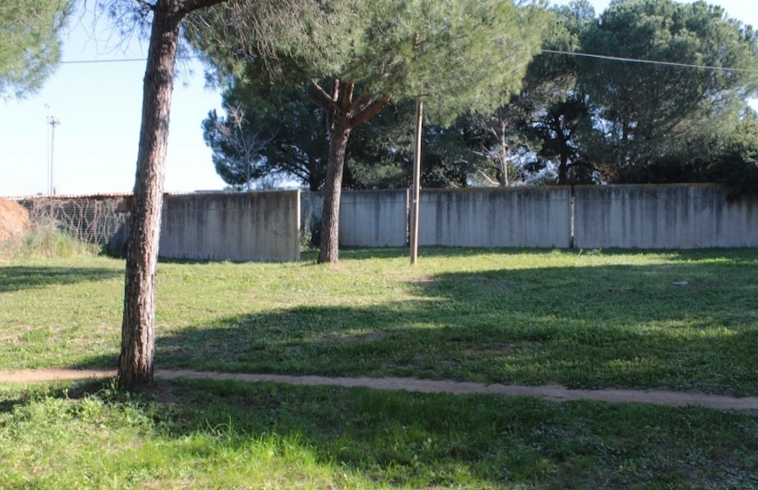 Oasi felina San Vincenzo - Pennainmovimento
