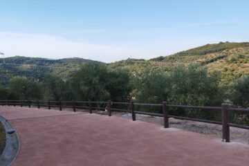 Strada che porta alla Rocca Aldobrandesca - Pennainmovimento