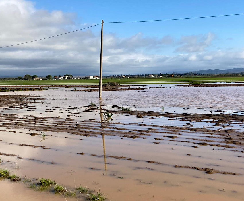 Coldiretti Grosseto: “aziende agricole sott’acqua”