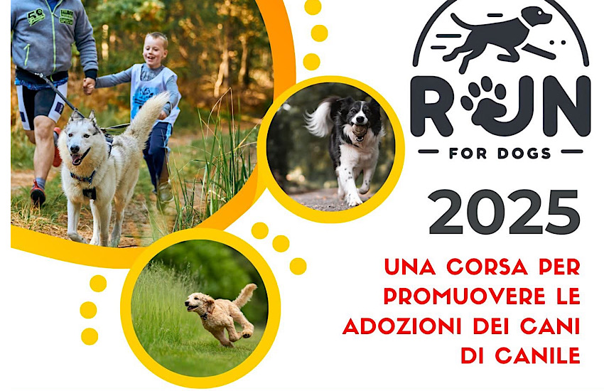 Piombino: appuntamento con la “Runfordogs”