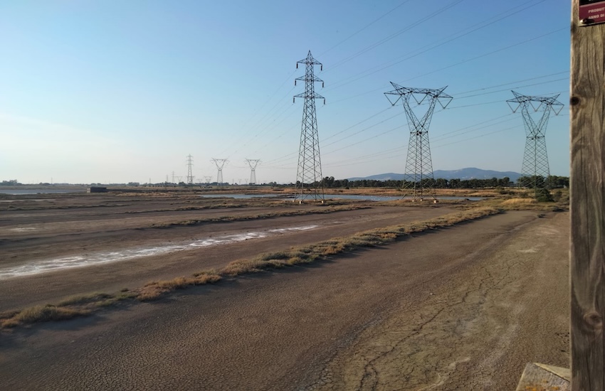 Oasi WWF Orti-Bottagone: i problemi idrici di questi giorni