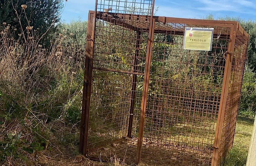 Piombino: gabbia alla Tolla per catturare i cinghiali