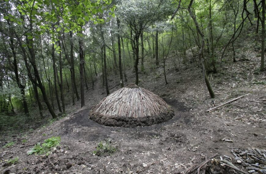 Sassetta: riapre il Museo del Bosco