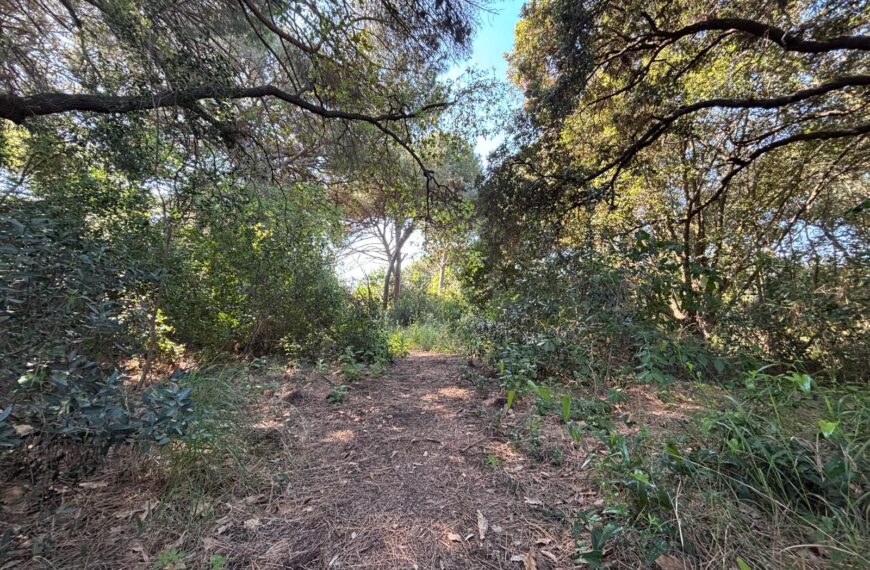 San Vincenzo: un nuovo parco avventura