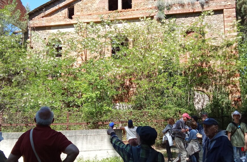 La Pievaccia di Follonica: passeggiata alla riscoperta del luogo