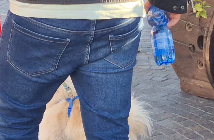 Secondo giorno e primi riscontri per l’ordinanza sindacale che obbliga i padroni dei cani a portare l’acqua