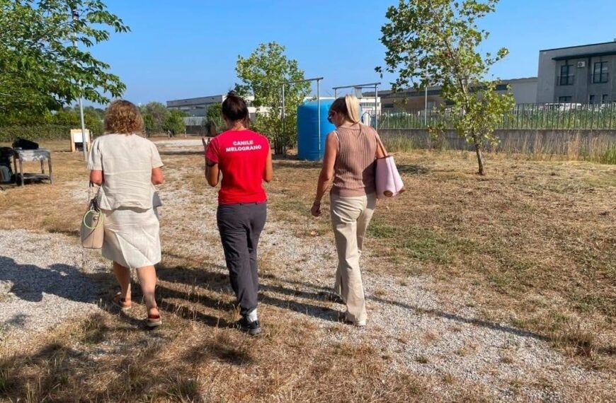 Piombino, canile comunale: cura e prevenzione