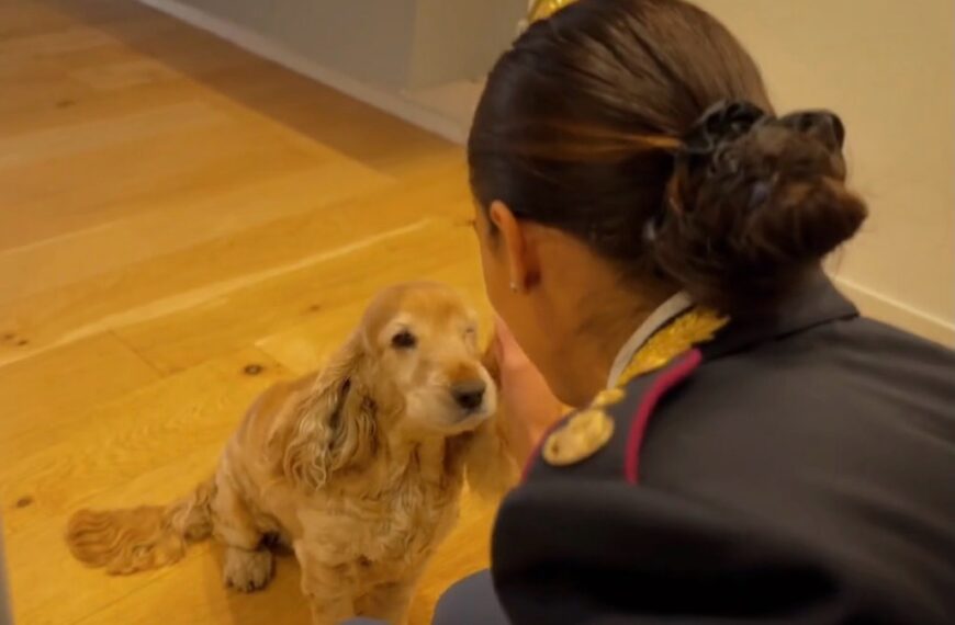 VIDEO, nuovo spot contro l’abbandono degli animali