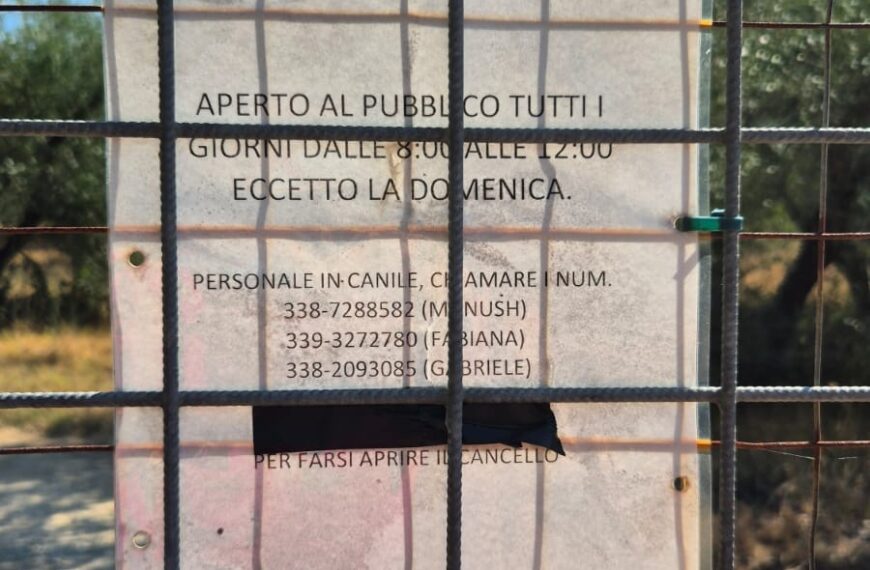 Volontarie visita il canile di Ribolla: dubbi e perplessità