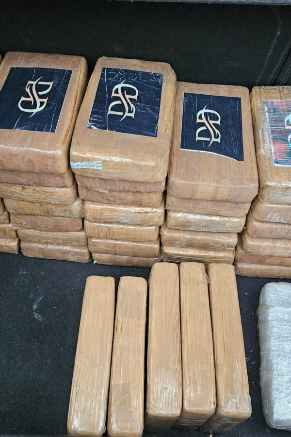Porto di Livorno: sequestrati 53kg di cocaina in un container