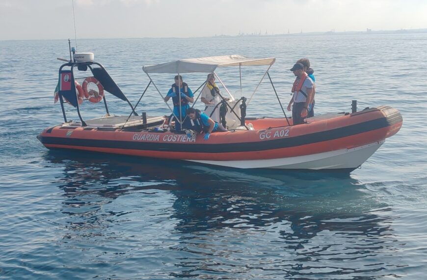 Due tartarughe tornano in mare, VIDEO