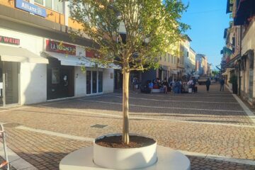 Piombino Civica: “Iniziata la piantumazione delle nuove fioriere”
