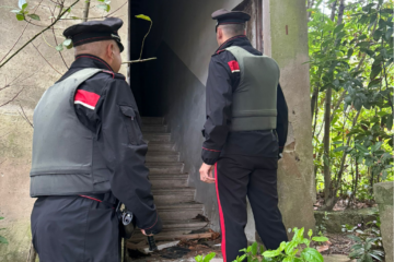Venturina Terme: detenzione a fini di spaccio di sostanze stupefacenti