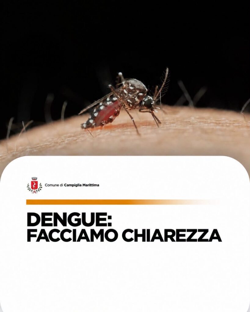 Campiglia Marittima: Dengue, facciamo chiarezza