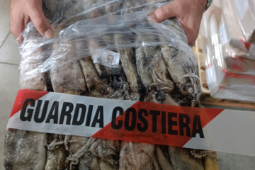 Piombino: chiuso temporaneamente un ristorante, trovate tracce di roditori