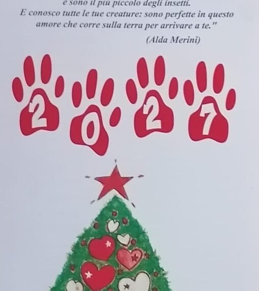 E’ arrivato il calendario de La Casa di Margot